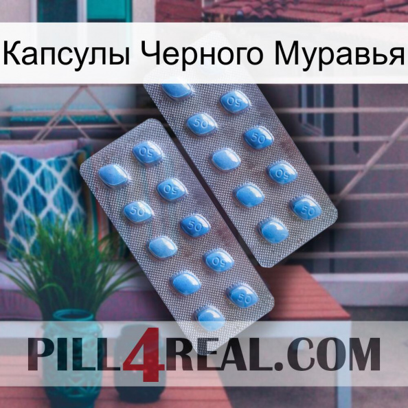 Капсулы Черного Муравья viagra4.jpg